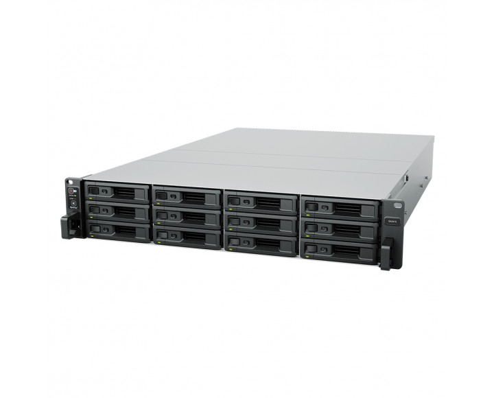 Synology SA3410